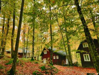 Yedigöller Milli Parkı